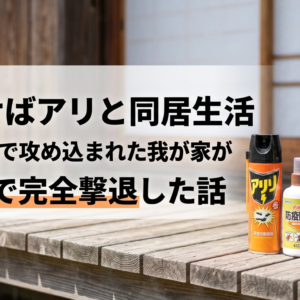 家の中にアリが大量侵入！通気層まで攻め込まれた我が家が1週間で完全撃退した話