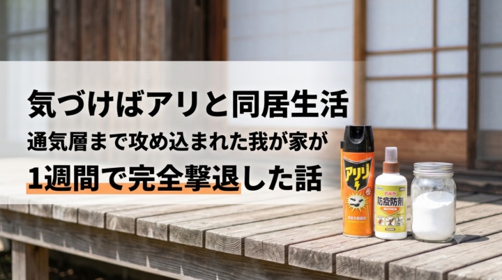 家の中にアリが大量侵入！通気層まで攻め込まれた我が家が1週間で完全撃退した話